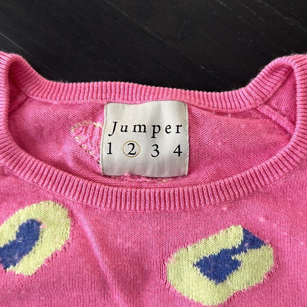 Jumper 1234 Pink and Blue/Yellow Animal Print-ish Sweater - Picture 6 of 6